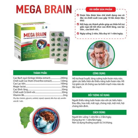 Bổ não Ginkgo Biloba hàm lượng cao 240mg - MEGA BRAIN 80 viên