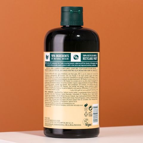 CÓ SẴN - (Chai lớn 400ml) Dầu gội đầu The Body Shop Gừng Shampoo