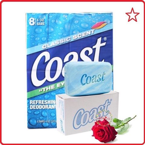 XÀ BÔNG CỤC COAST HÀNG MỸ 113g