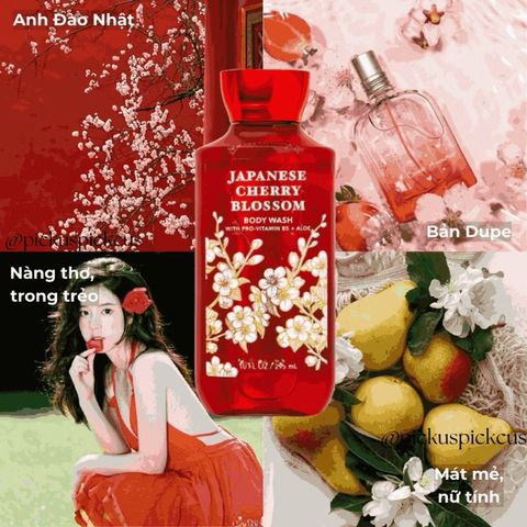Sữa tắm gel tắm Shower gel Japanese Cherry Blossom Bath And Body Works 295ml
