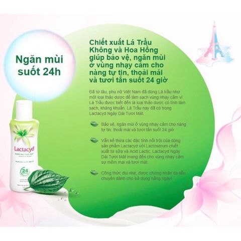 Dung Dịch Vệ Sinh Phụ Nữ Lactacyd (150ml)