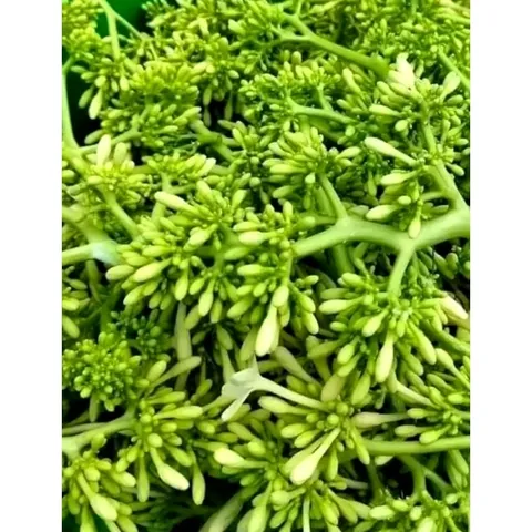 Hoa đủ đủ đực tươi 1kg.Khách đặt mới hái