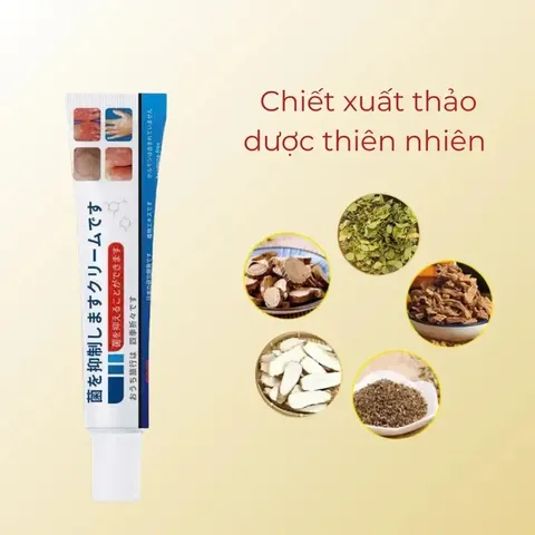 Kem bôi da liễu nhật bản Tái Tạo Da Hư Tổn Do Hắc Lào, Tổ Đỉa, Ghẻ Nước, Bỏng Nhiệt, Côn Trùng Cắn nấm glycerin Serum Mụn Diếp