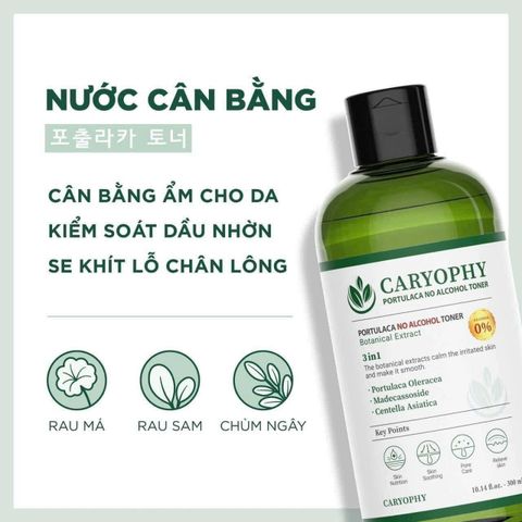 Nước Hoa Hồng Caryophy Chăm Sóc Da Dầu Mụn Portulaca Toner 300ml [hàng nhập khẩu]