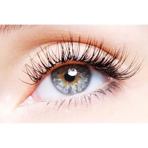 Kẹp Bấm Mi Nhựa Eyelash Giúp Cho Đôi Mi Cong Đẹp Tự Nhiên 760289