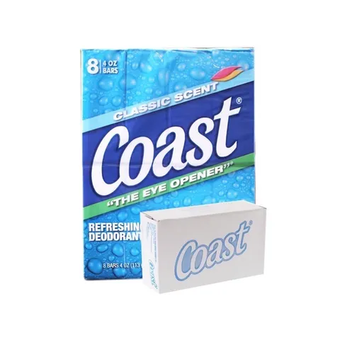 XÀ BÔNG CỤC COAST HÀNG MỸ 113g 760419