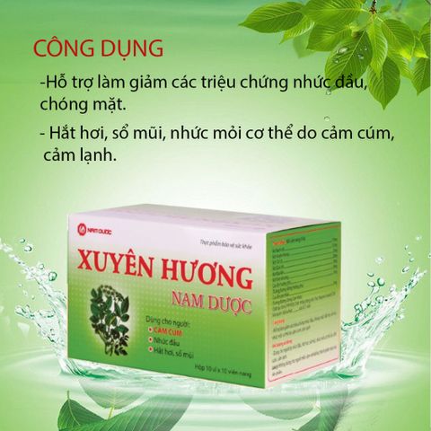 Xuyên Hương Nam Dược-Hỗ trợ viêm xoang, viêm mũi dị ứng-Hộp 10 vỉ x 10 viên nang