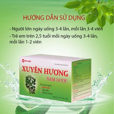 Xuyên Hương Nam Dược-Hỗ trợ viêm xoang, viêm mũi dị ứng-Hộp 10 vỉ x 10 viên nang