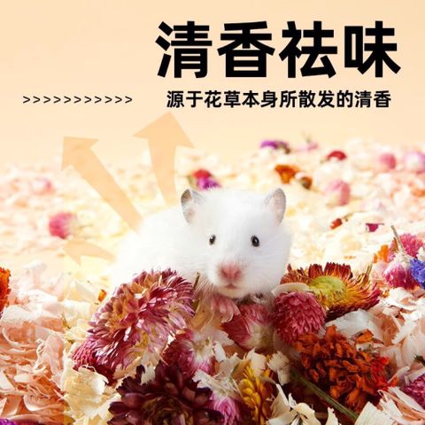 Hoa cỏ lót chuồng cho Hamster và thú nhỏ