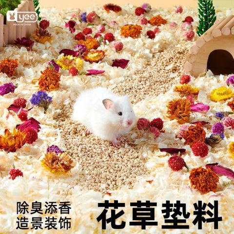 Hoa cỏ lót chuồng cho Hamster và thú nhỏ