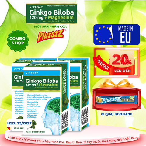 Viên Uống Bổ Não Vitaday Ginkgo Biloba 120mg + Magnesium - Hỗ Trợ Tăng Cường Trí Nhớ và Giảm Căng Thẳng (Combo 3 Hộp x 30 Viên)