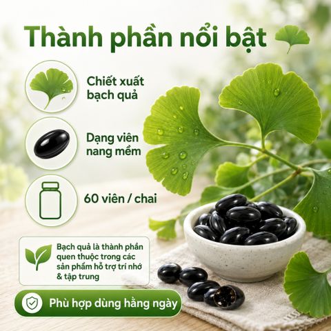 Careline Ginkgo Biloba 2500mg 60 Viên Hỗ Trợ Tuần Hoàn Máu Não Tăng Cường Trí Nhớ Tập Trung