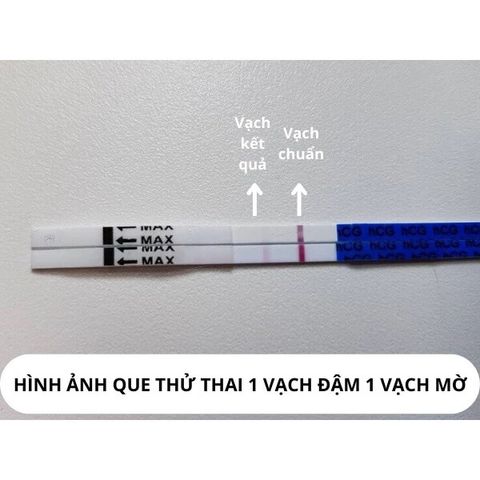 [Che tên] Combo 2 Que thử thai bản to Traphaco, Chính xác test thử thai sớm nhanh Allisa