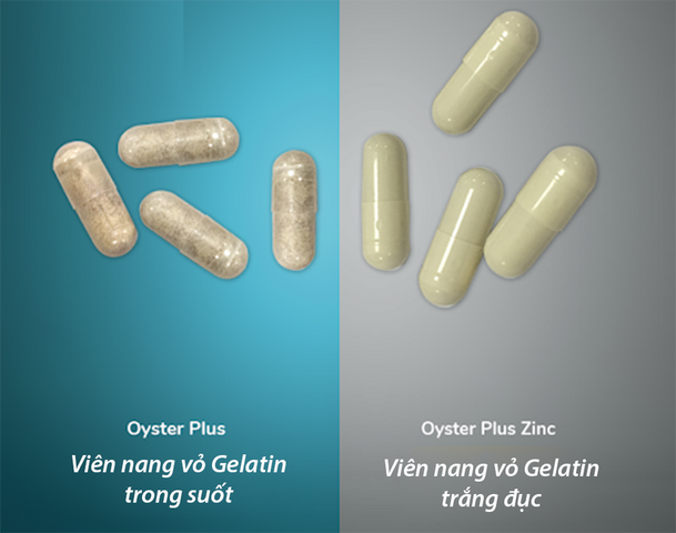 Tình Chất Hàu Goodhealth Oyster Plus 60 viên [Hàu Lùn] - Tăng Cường Sinh Lực & Hỗ Trợ Sức Khỏe cho Nam Giới - S/P Chuẩn New Zealand