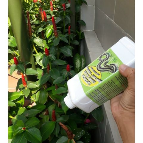 Thuốc diệt rắn SNAKE KILLER dạng bột rắc, rắn dính thuốc là chết, nhập khẩu Singapore chai 250g