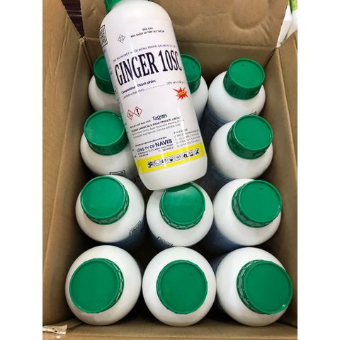 Thuốc diệt muỗi GINGER 10SC, dùng trong gia dụng và y tế, nhập khẩu Ấn Độ, chai 1 lít