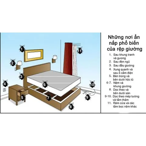 Thuốc diệt rệp giường FENDO GREEN 100 SC, diệt cả ruồi, muỗi, các loài côn trùng khác, chai 50ml