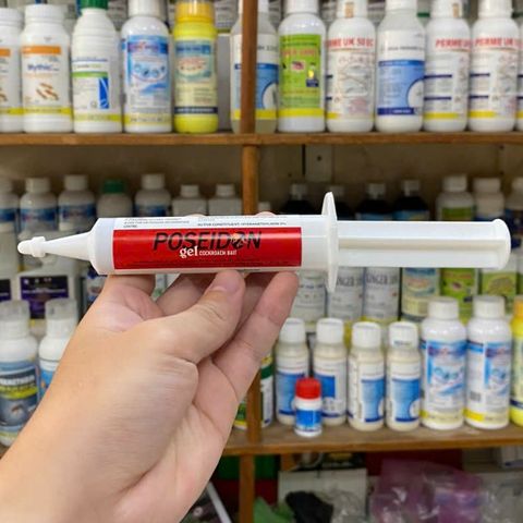 Thuốc diệt gián chuyên dụng POSEIDON diệt hiệu quả các loại gián kể cả gián đức dạng gel tuýp 35g