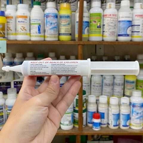 Thuốc diệt gián chuyên dụng POSEIDON diệt hiệu quả các loại gián kể cả gián đức dạng gel tuýp 35g