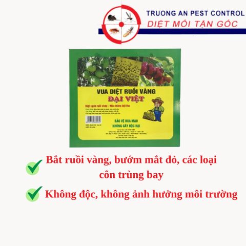 Keo dính ruồi vàng ĐẠI VIỆT, bắt các loại ruồi vàng, bướm mắt đỏ, các loại côn trùng gây hại hoa màu