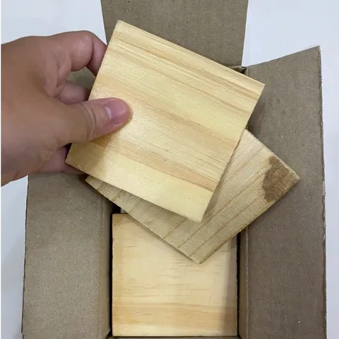 Hộp nhử mối, bên trong có chứa gỗ tẩm đường thu hút mối, dùng chung với thuốc diệt mối PMC90DP