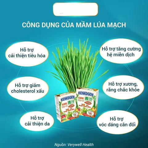 Bột rau củ mầm lúa mạch grass barley Nhật Bản KENKOGEN +16 loại trái cây chất xơ lợi khuẩn vitamin