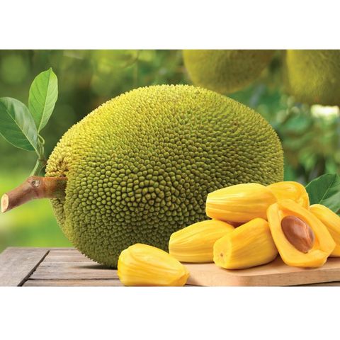 CRISPY dried Thai jackfruit, spongy, delicious, crispy, no sugar, 300G package - Viza Food