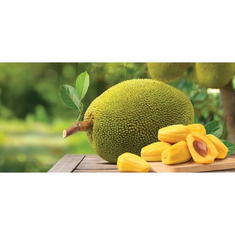 Special dried jackfruit, less sticky to teeth, No sugar, crispy, 200G package - Viza Food