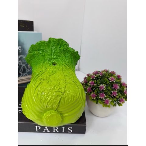 Heo đất bắp cải lỗ tròn siêu cute