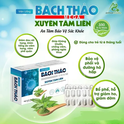 VIÊN BỔ PHỔI Bách thảo - Xuyênn Tâmm Liên 600mg phòng ngừa dịch