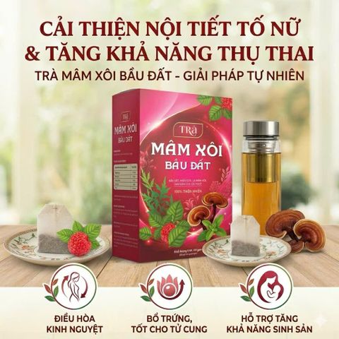 combo 2 hộp Trà Mâm Xôi Bầu Đất Điều Hòa Kinh Nguyệt, Giảm Đau Bụng Kinh, Ổn Định Nội Tiết Tố Nữ, Đẹp Da, Bổ Huyết