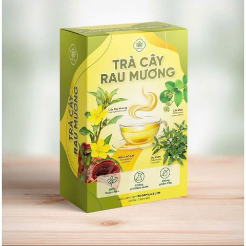 combo 2 hộp trà cây rau mương