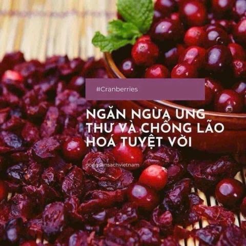 [ HỎA TỐC] Nam việt quất sấy khô Ocean Spray Craisins Whole Dried Cranberries 1.81kg