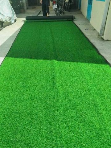 Cỏ nhân tạo lót sàn cao 1cm rộng 2m x2m ,Thảm cỏ nhựa trải sàn ,thảm cỏ nhân tạo dán tường