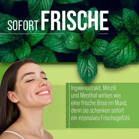 Viên nhai thơm miệng Sanct Bernhard Atemfrisch Kapseln 170 viên [Đức]