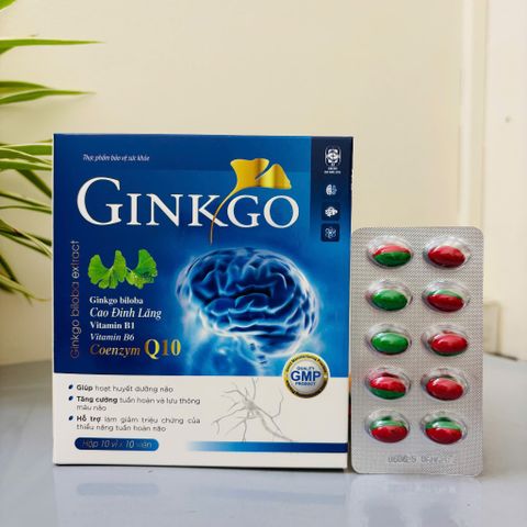 Bổ não viên xanh đỏ Ginkgo 100 viên ngừa đột quị