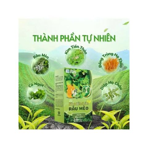 combo 4 hộp trà kim tiền thảo râu mèo