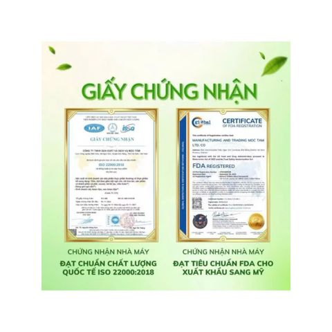 combo 4 hộp trà kim tiền thảo râu mèo