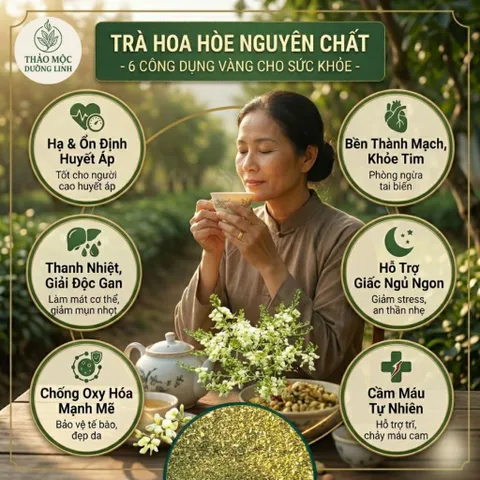 Trà Hoa Hòe Cỏ Ngọt Túi Lọc - Combo World Cup Mua 2 Tặng 1 - Giải Nhiệt, Bền Thành Mạch, Ngủ Ngon Sâu Giấc