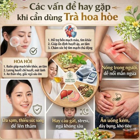 Trà Hoa Hòe Cỏ Ngọt Túi Lọc - Combo World Cup Mua 2 Tặng 1 - Giải Nhiệt, Bền Thành Mạch, Ngủ Ngon Sâu Giấc