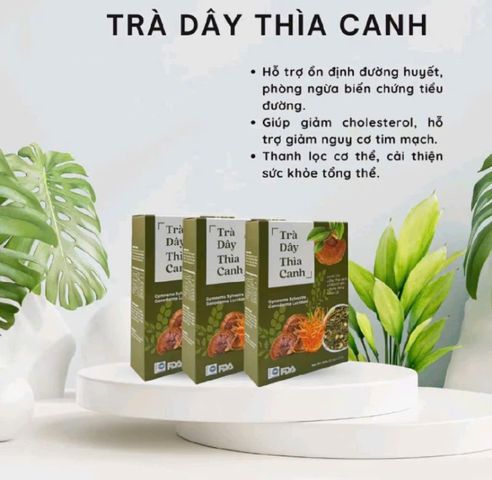 combo 3 hộp trà dây thìa canh 