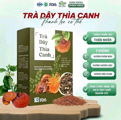combo 4 hộp trà cây thìa canh 