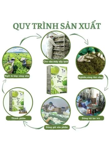 combo 4 hộp trà phan tả diệp 
