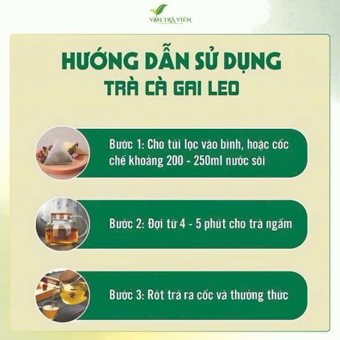 combo 2 trà túi lọc cà gai leo 