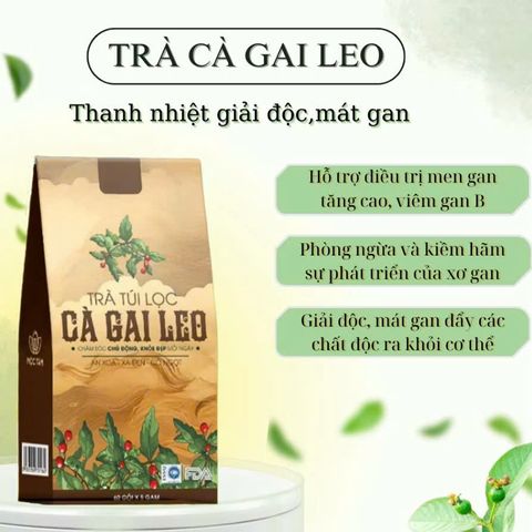 combo 2 trà túi lọc cà gai leo 