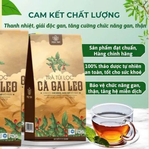 combo 4 hộp trà túi lọc cà gai leo 