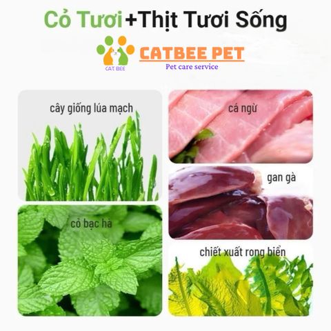 [250g,500g,1000g] Bánh Cá Catnip cho mèo giúp tiêu búi lông,sạch răng miệng,hỗ trợ tiêu hoá,giảm căng thẳng