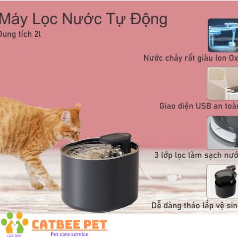 Máy Lọc Nước Pet Water Tự Động Cho Chó Mèo Kèm Lõi Lọc Than Hoạt Tính An Toàn, Dung Tích 2L