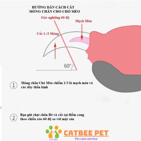 Bộ kéo cắt móng cao cấp kèm dũa giành cho chó mèo chính hãng
