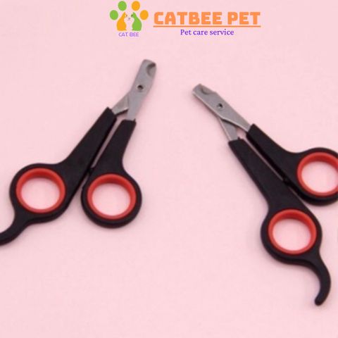 Kéo cắt móng cho chó mèo nhỏ - Cat bee pet - Chăm sóc cắt tỉa móng cho thú cưng